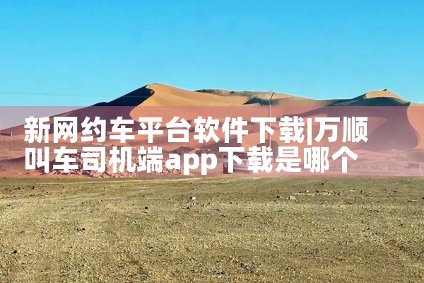 新网约车平台软件下载