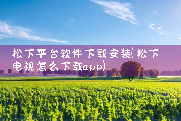 松下平台软件下载安装