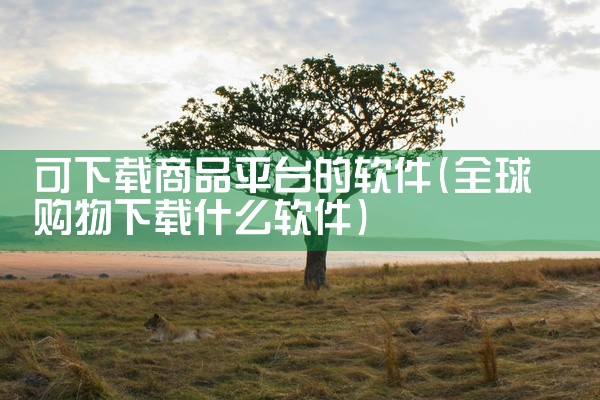可下载商品平台的软件