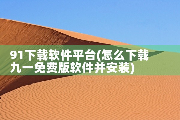 91下载软件平台