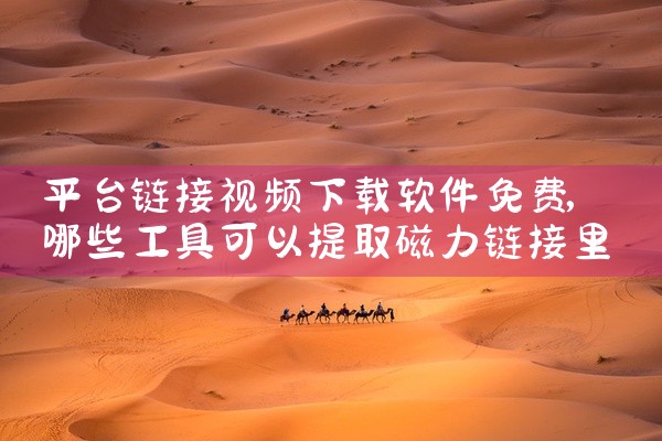 平台链接视频下载软件免费