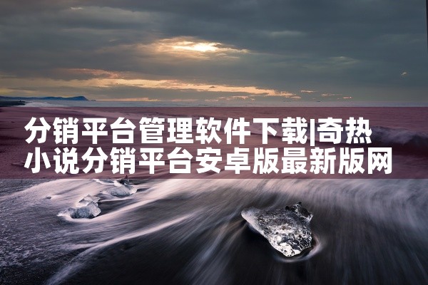 分销平台管理软件下载