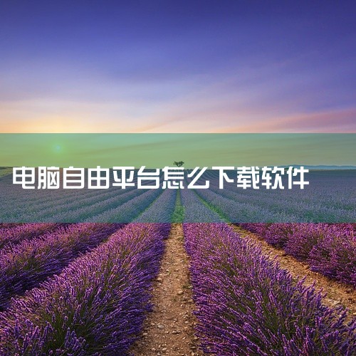 根据您的操作系统版本（如Windows 64位），选择相应的系统版本，点击“自由下载”。运行安装程序 双击下载的程序文件【fdm_x64_setup.exe】开始安装。安装设置 点击“Install |