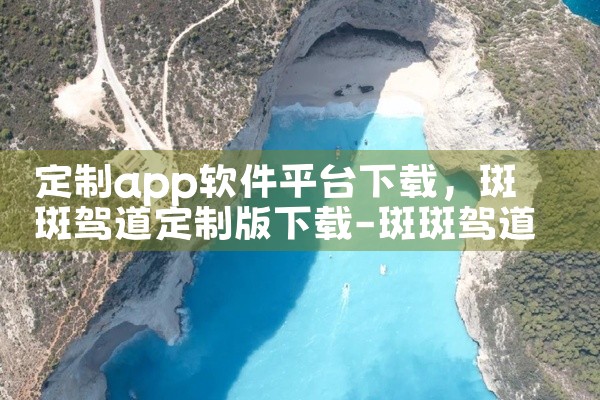定制app软件平台下载