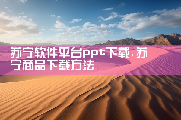 苏宁软件平台ppt下载
