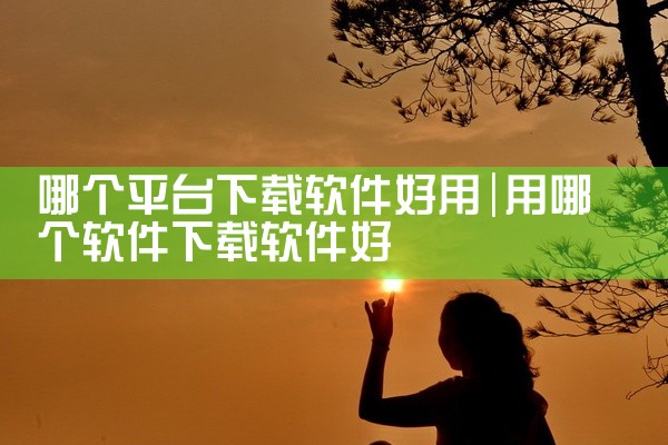哪个平台下载软件好用