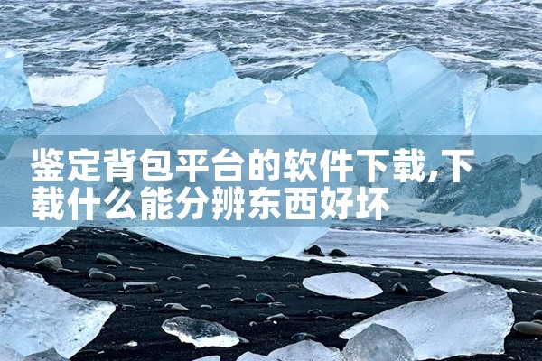 鉴定背包平台的软件下载