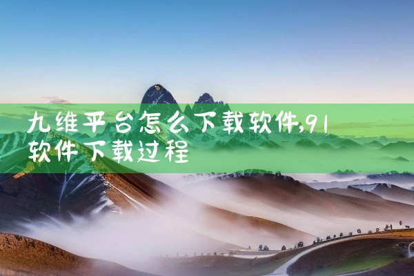 九维平台怎么下载软件